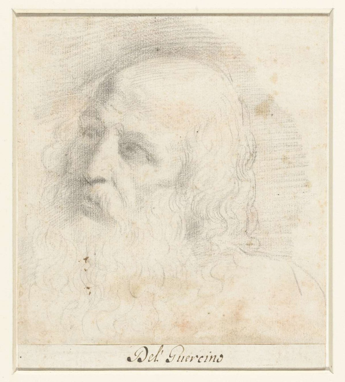 Head of an old man, Guercino, 1601 - 1666