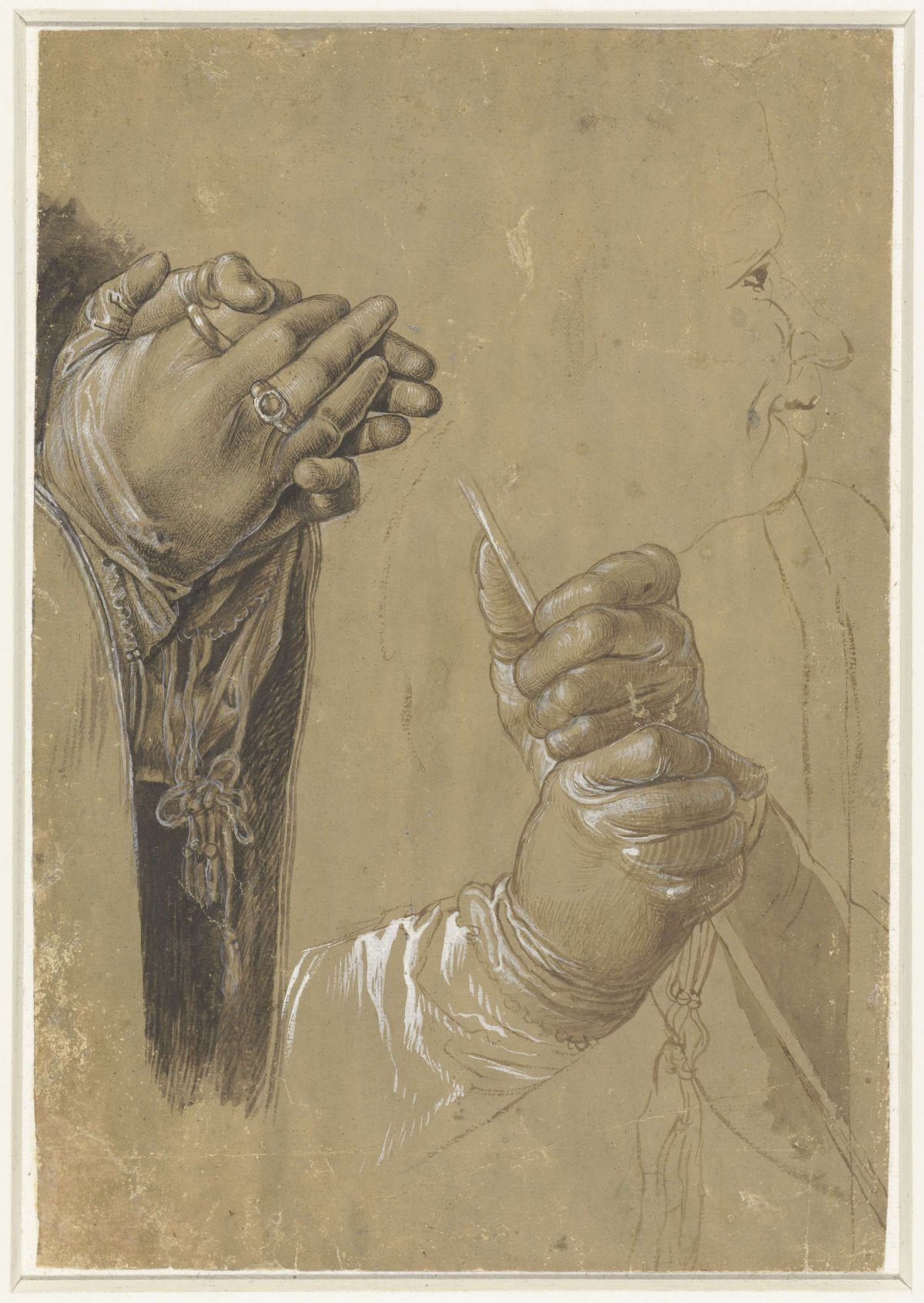 Hands and a profile head, Albrecht Dürer, 1481 - 1528