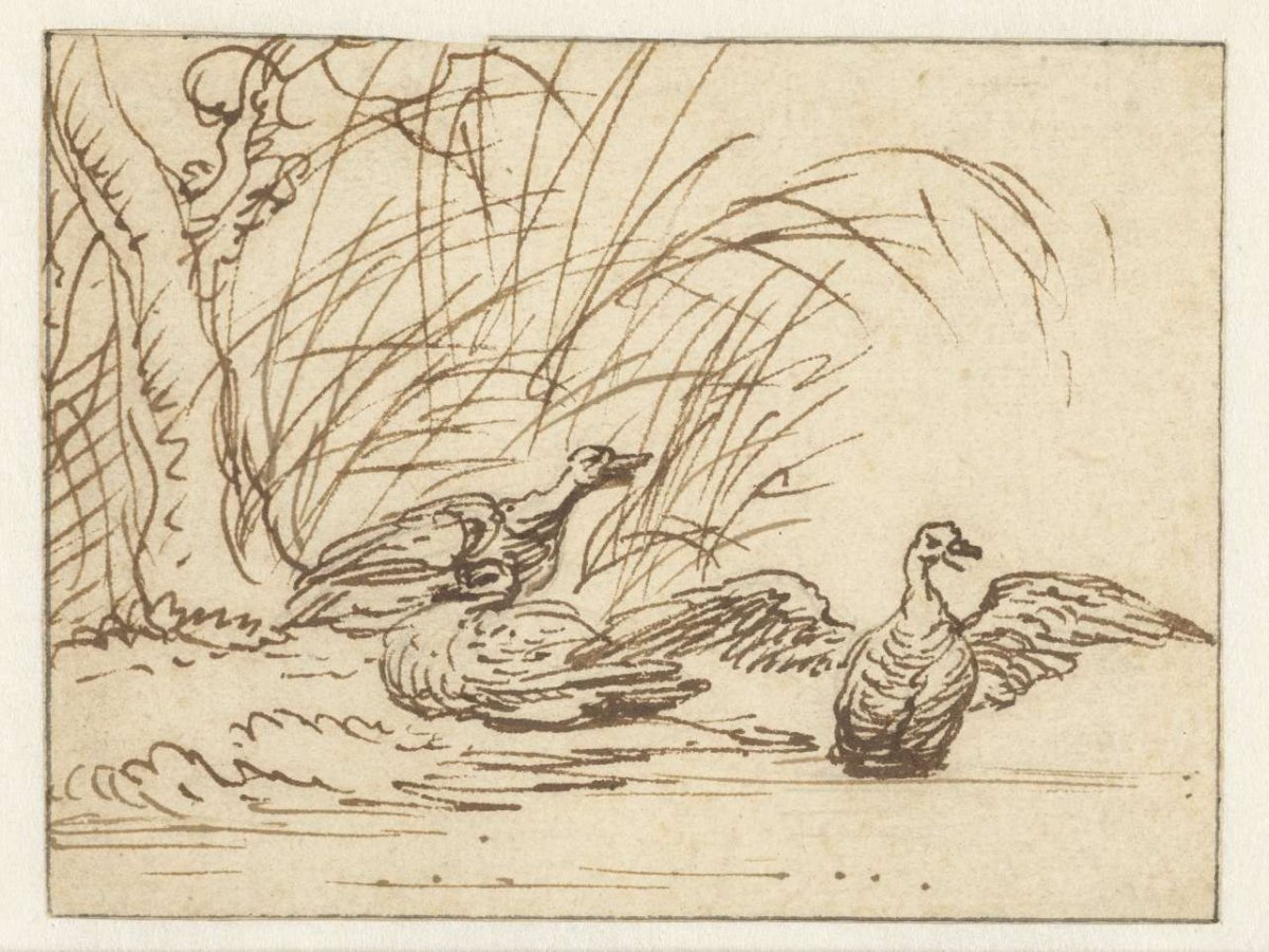 Three ducks on the waterfront, Anthonie van Borssom, 1640 - 1677