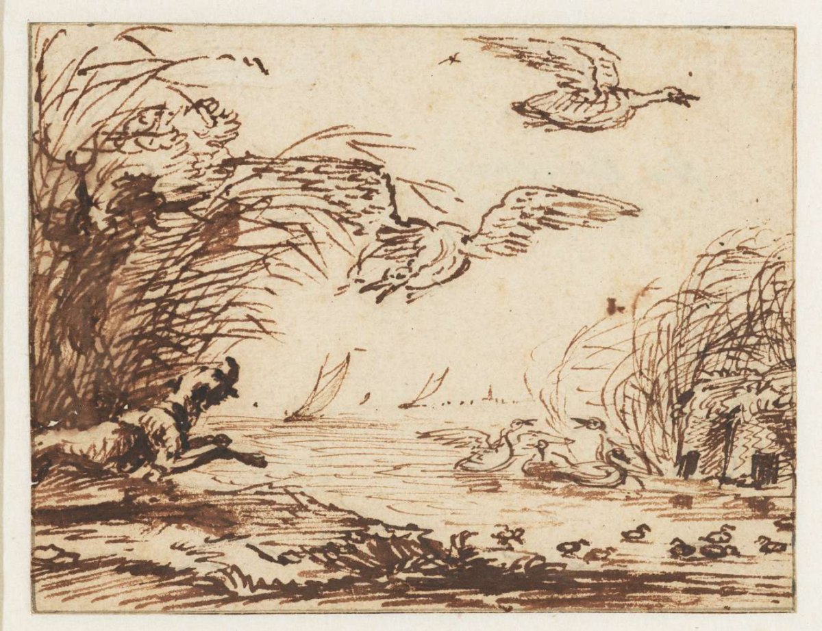 Dog on a duck hunt, Anthonie van Borssom, 1640 - 1677