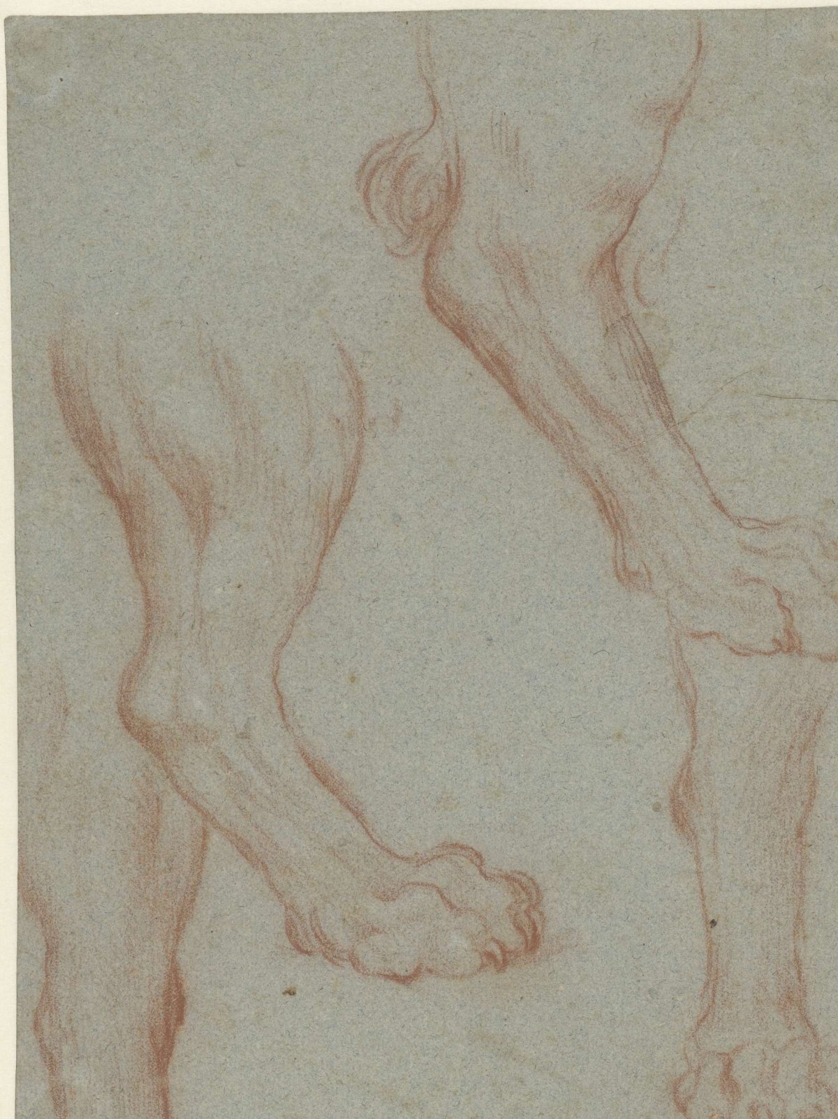 Study sheet with two lion paws, Leandro Bassano, 1567 - 1622