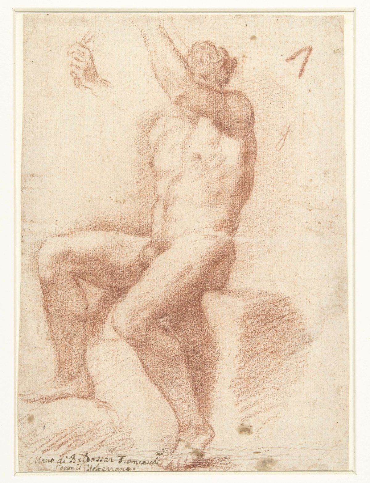 Study of a male nude model, Baldassare Franceschini, 1621 - 1698