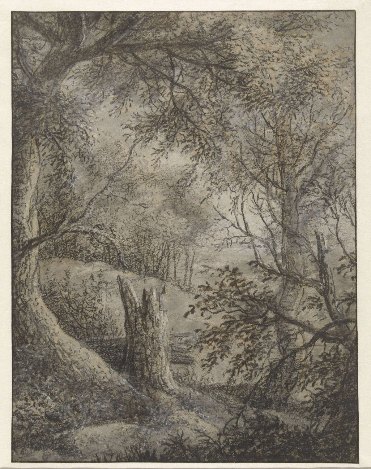 Forest view with broken down tree, Anthonie Waterloo, 1619 - 1690