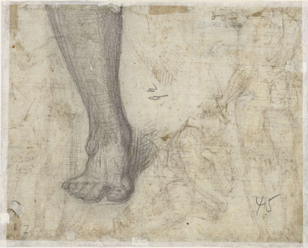 Foot, seen from the front, Aurelio Luini, 1540 - 1593