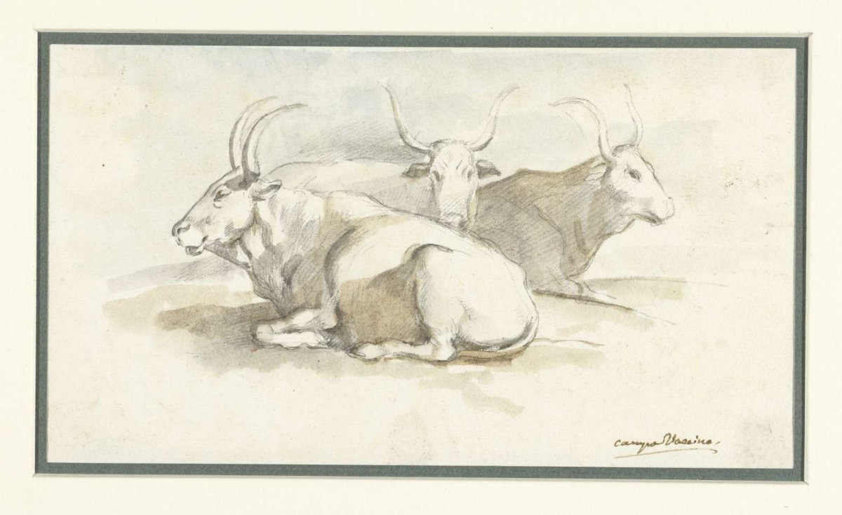 Three buffalo lying on the Forum, Etienne de Lavallée-Poussin, 1750 - 1793