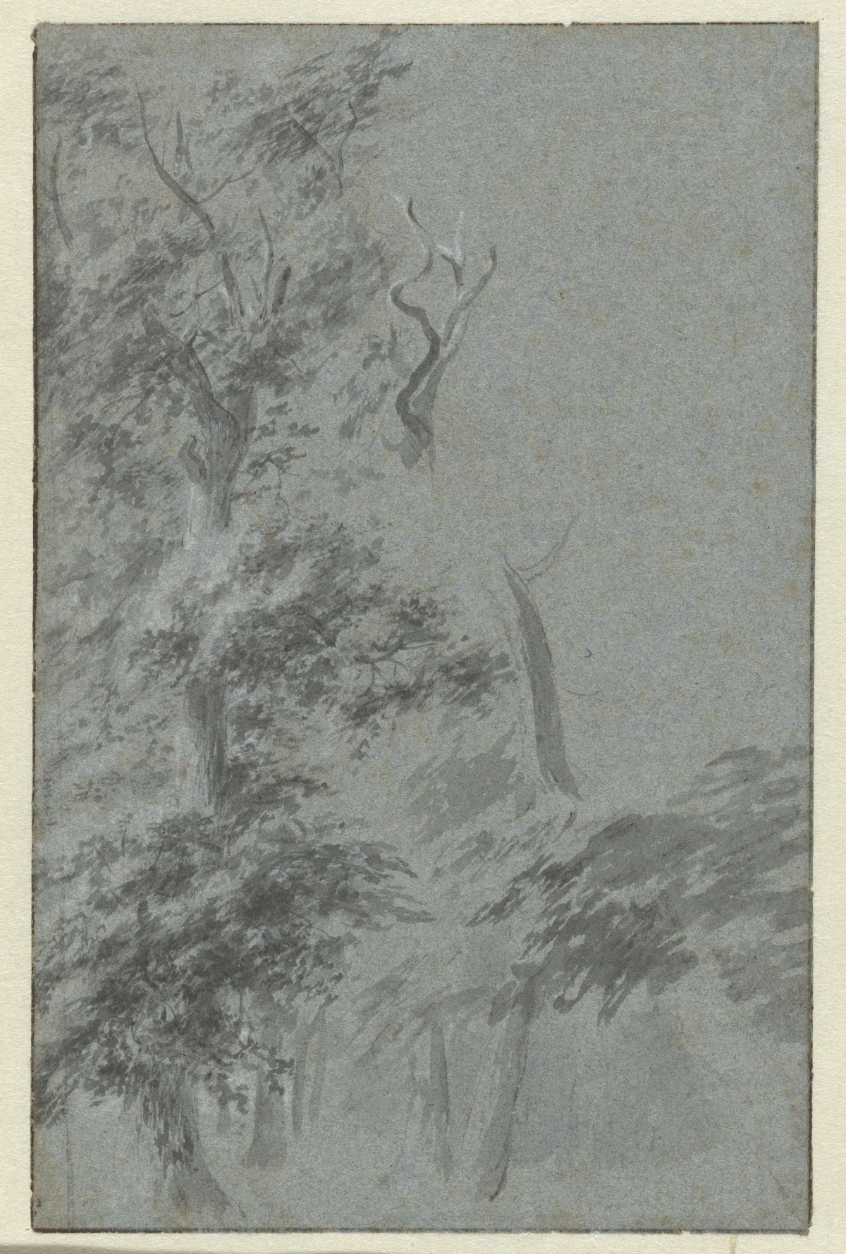 Bosgezicht, anonymous, 1600 - 1699