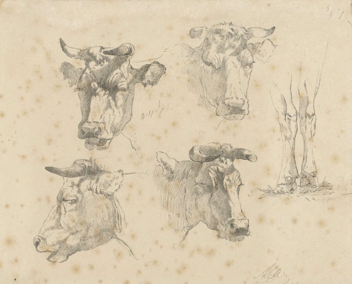 Study sheet with four cow's heads and the legs of a cow, Gerard Bilders, 1848 - 1865