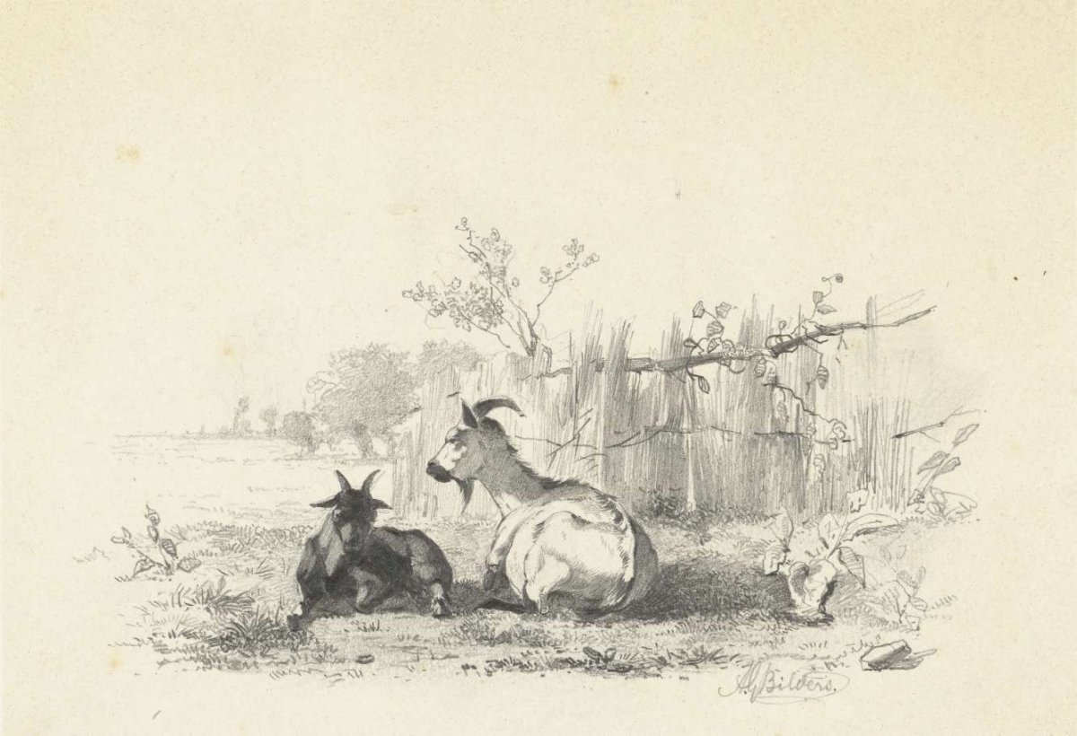 Two bucks at a fence, Gerard Bilders, 1848 - 1865