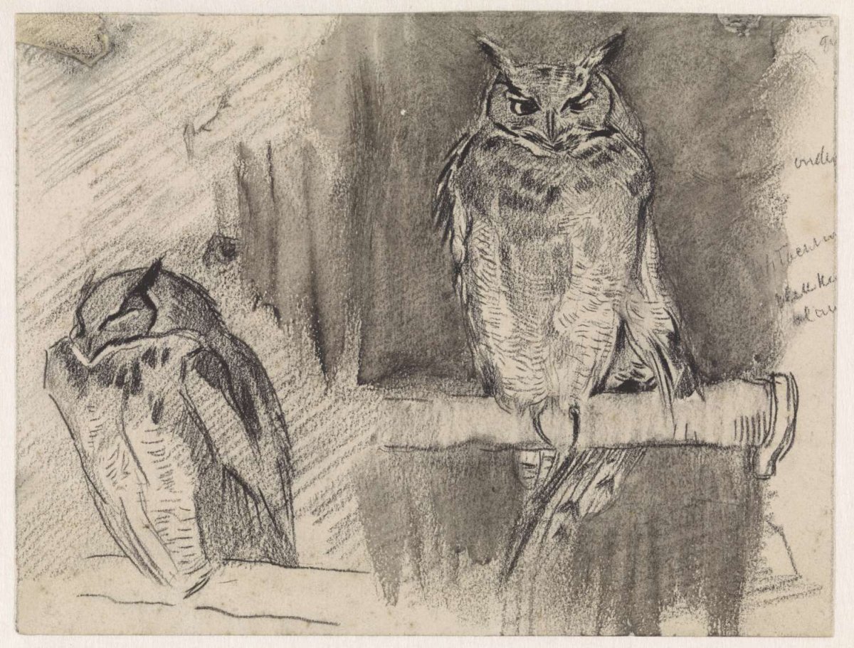 Two studies of an owl, Jan van Essen, 1864 - 1936