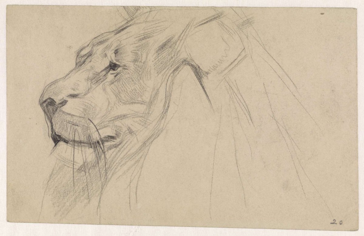 Head of a lion, Jan van Essen, 1864 - 1936