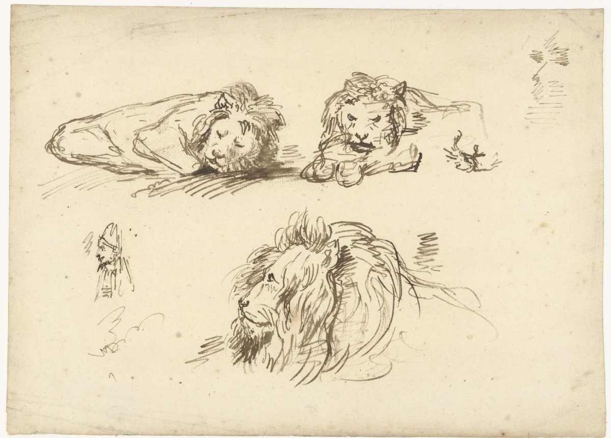Three sketches of a lion and a man wearing a mitre, Anthonie van Borssom, 1640 - 1677