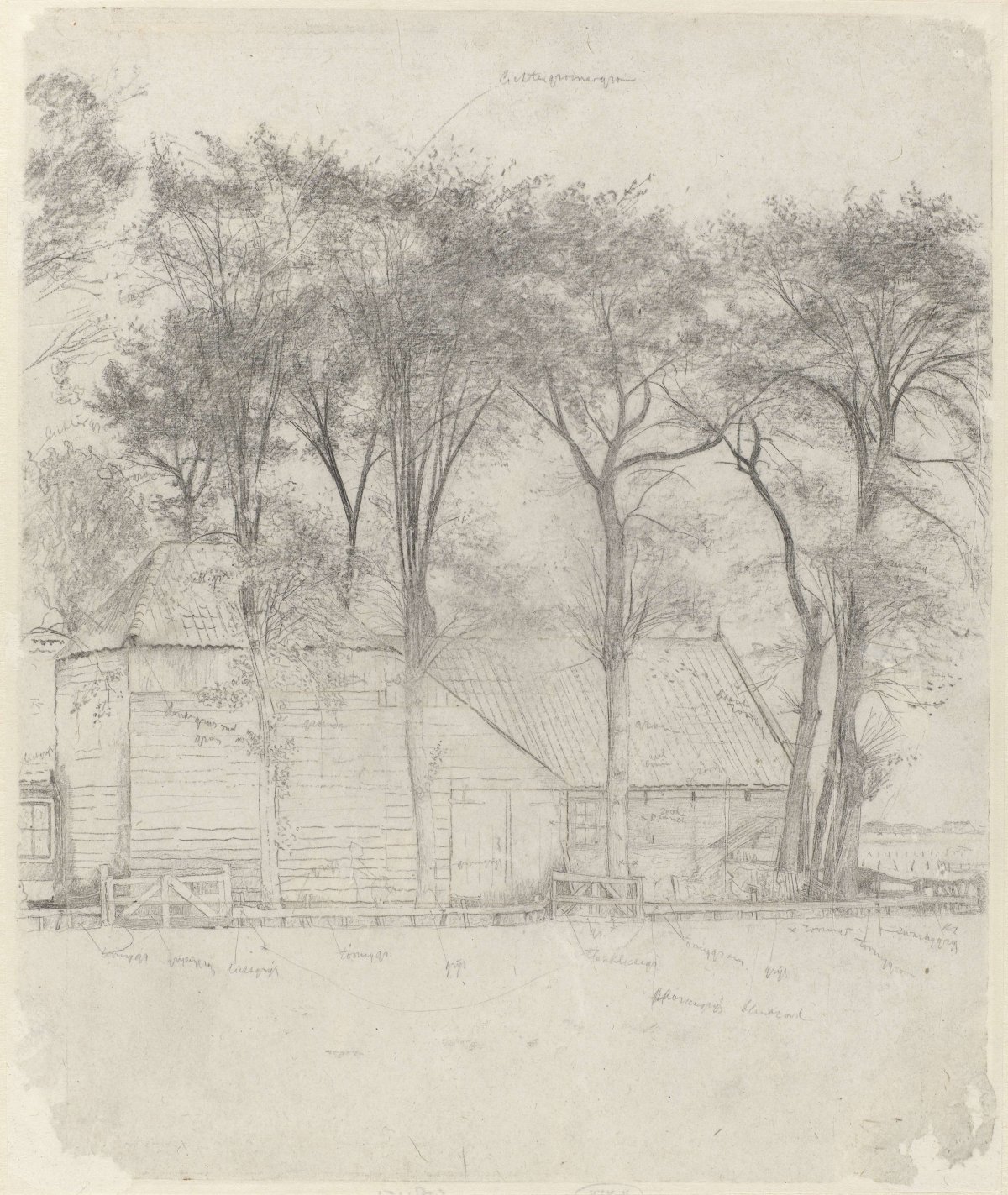 Farm near Velzen: the two barns seen from the side, surrounded by tall trees, Gerrit Willem Dijsselhof, 1876 - 1924