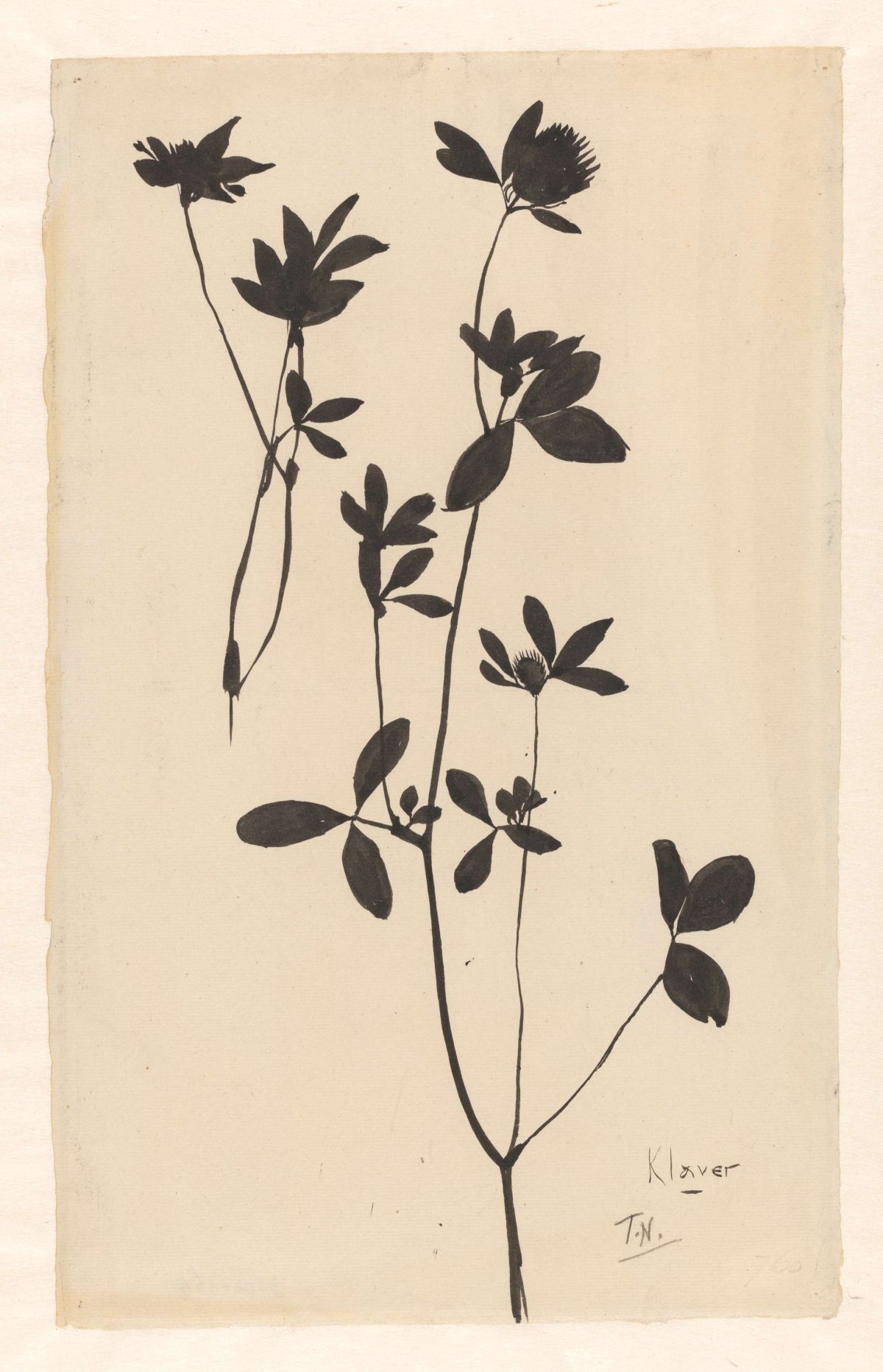 Klaver, Theo Nieuwenhuis, 1876 - 1951