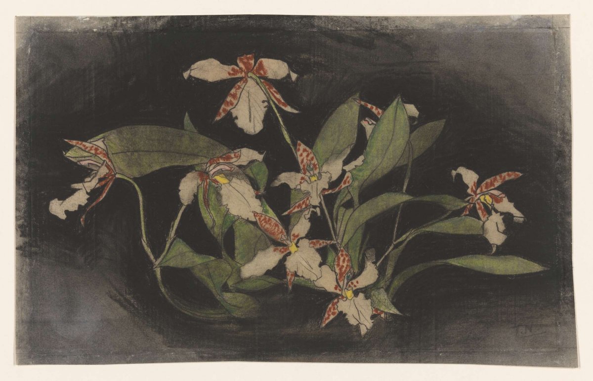 Bloeiende orchideeëntak, Theo Nieuwenhuis, 1876 - 1951
