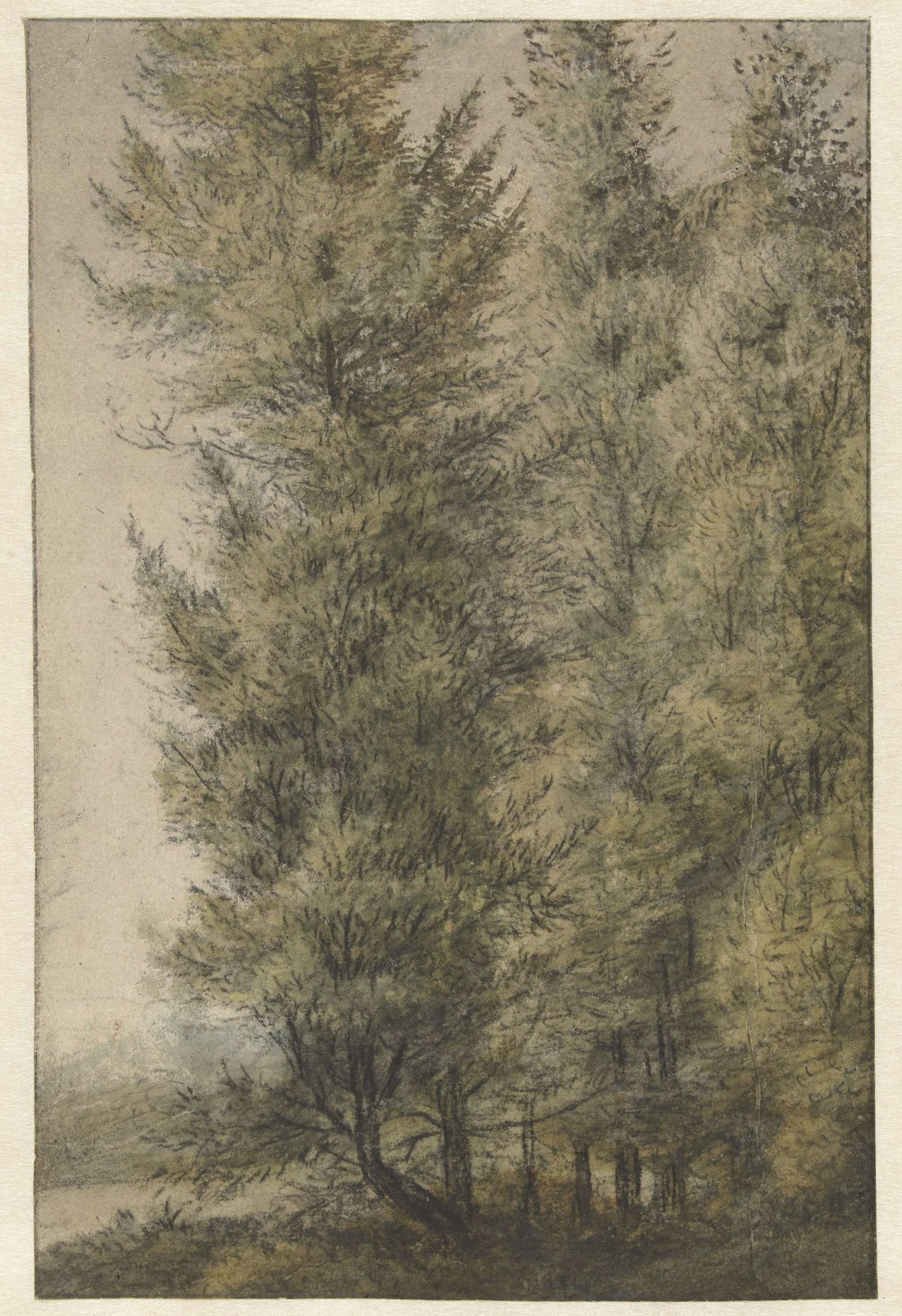 Tall pines on the edge of a forest, Anthonie Waterloo, 1619 - 1690