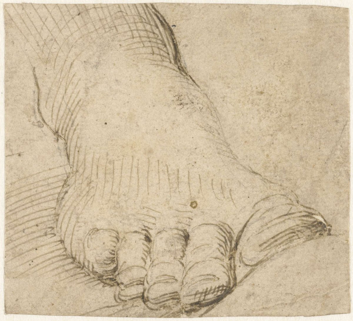 Study of a right foot, from the front, Agostino Carracci, 1567 - 1602