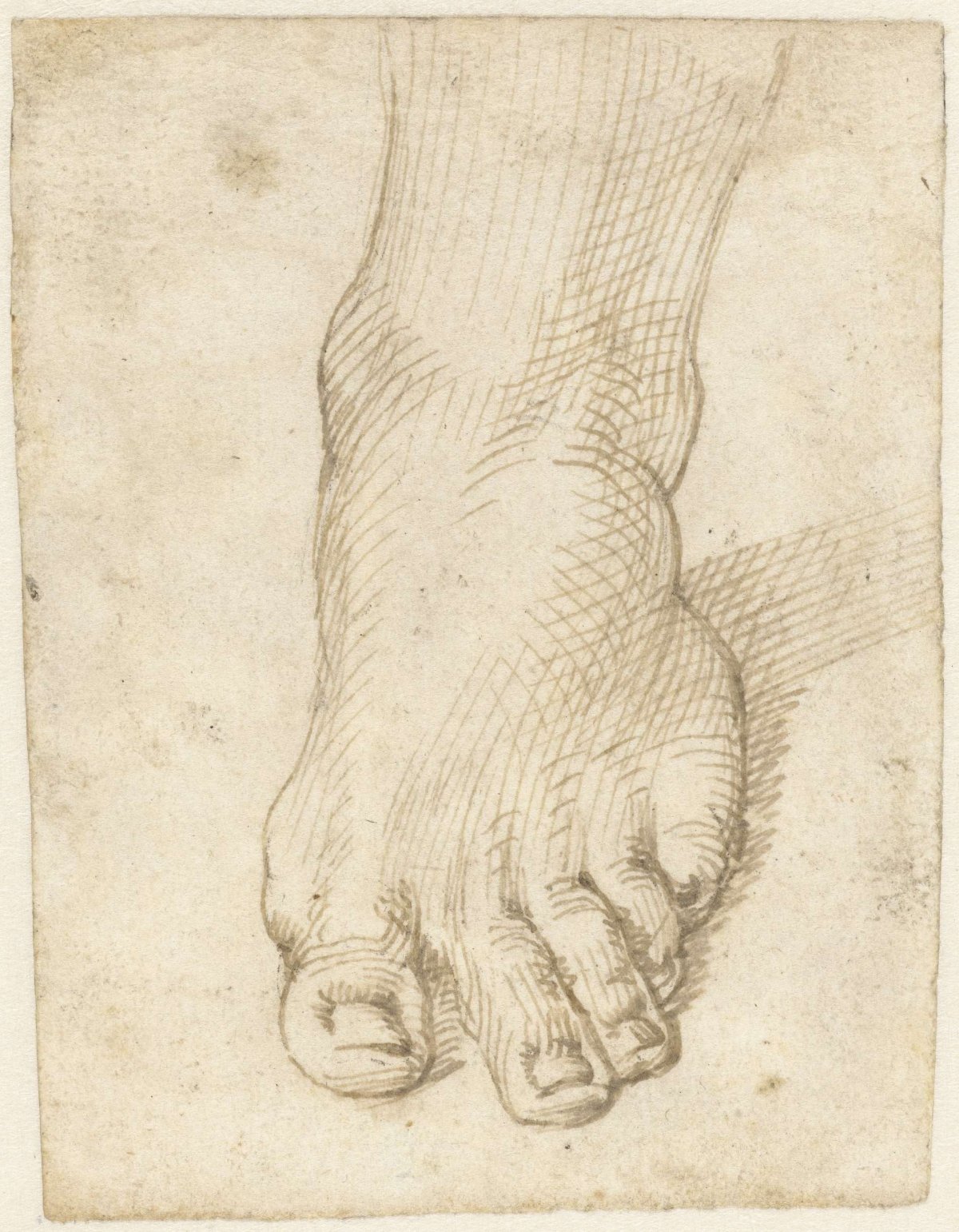 Study of a left foot, from the front, Agostino Carracci, 1567 - 1602