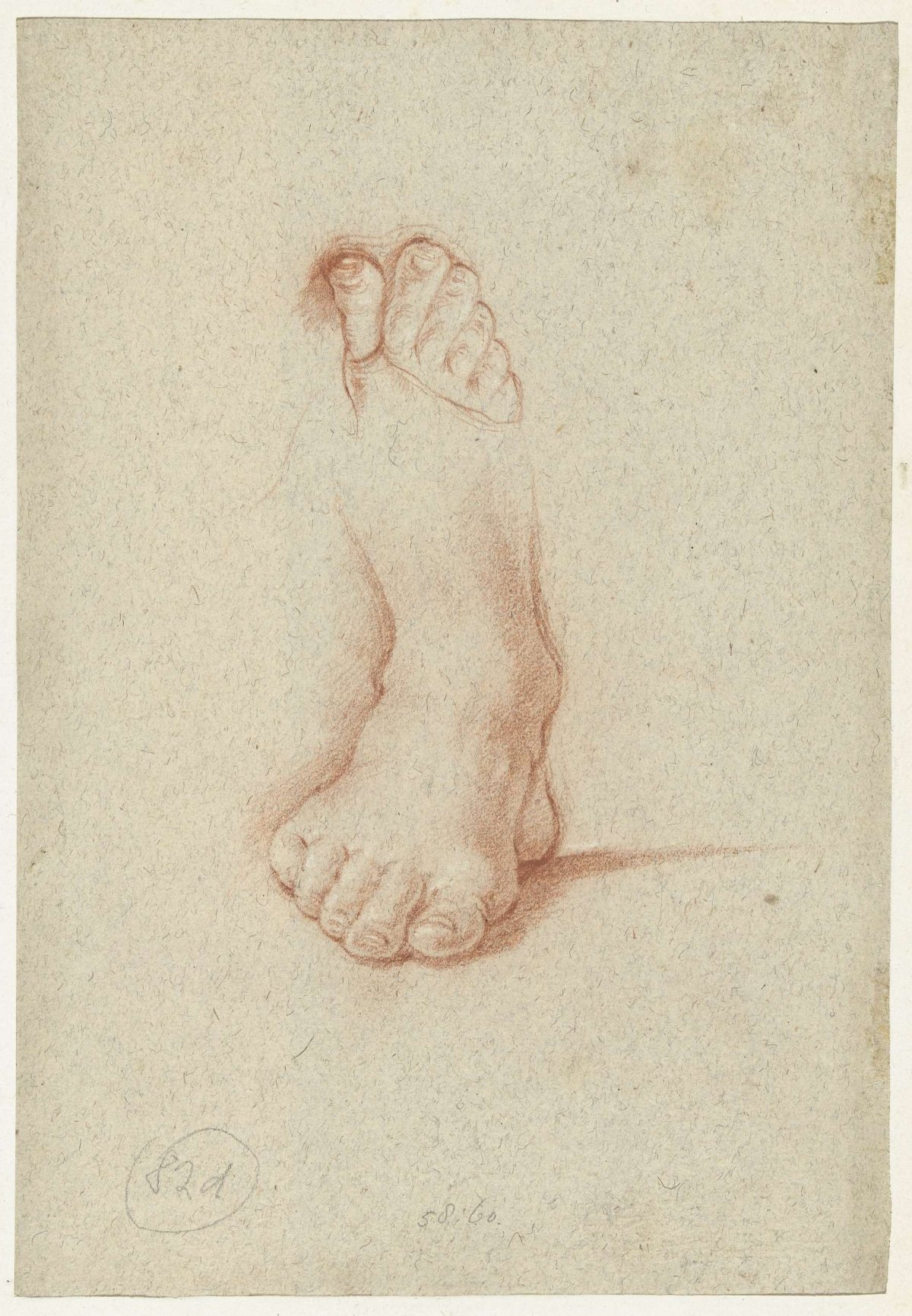 Two studies of a foot, Domenichino, 1591 - 1641
