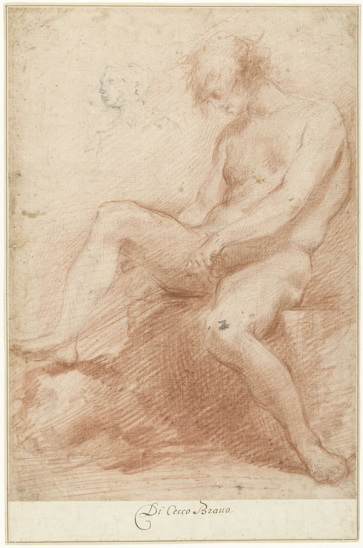 Study of a male nude model, Francesco Montelatici, 1617 - 1661