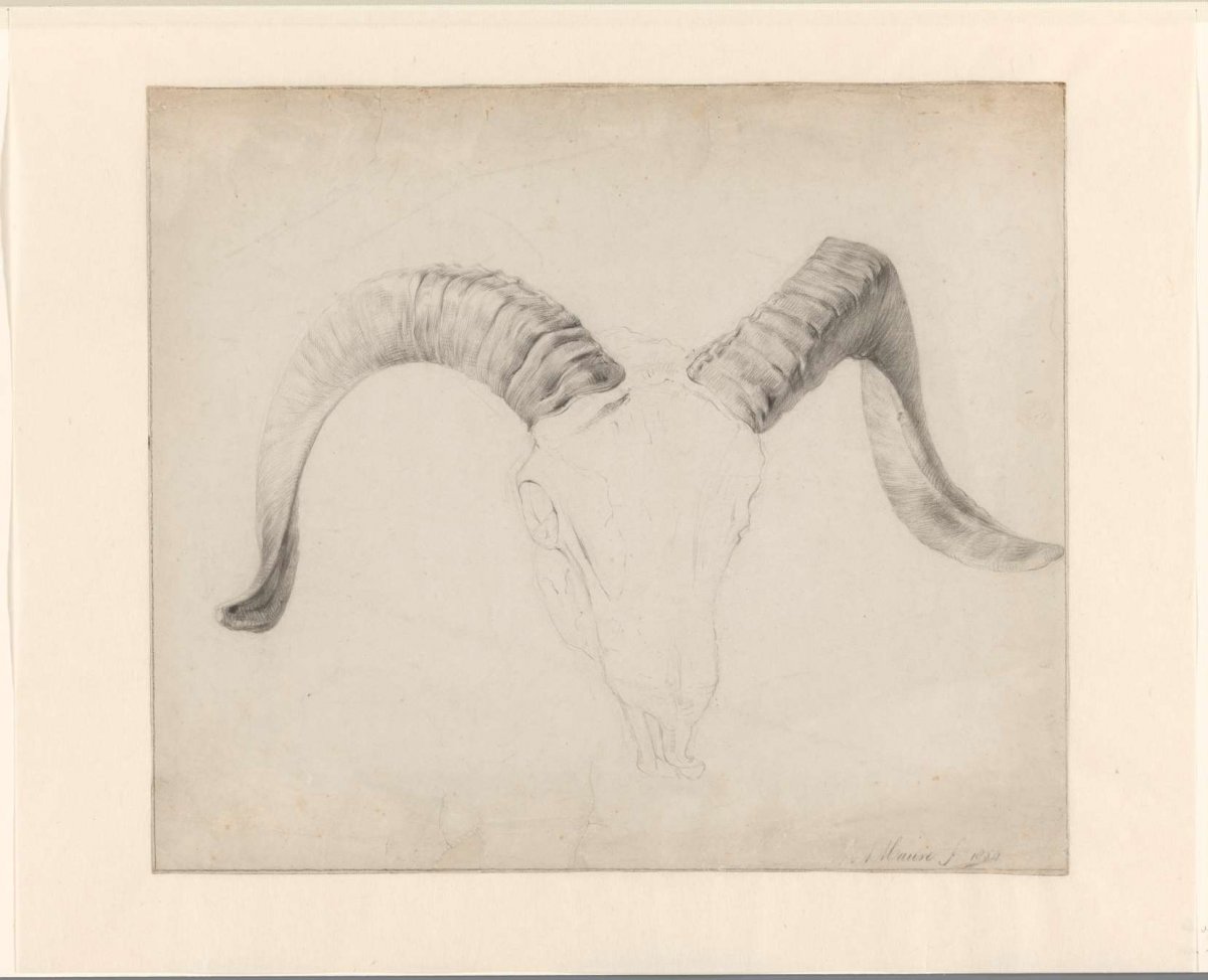 Skull of a buck, the horns elaborated, Anton Mauve, 1854