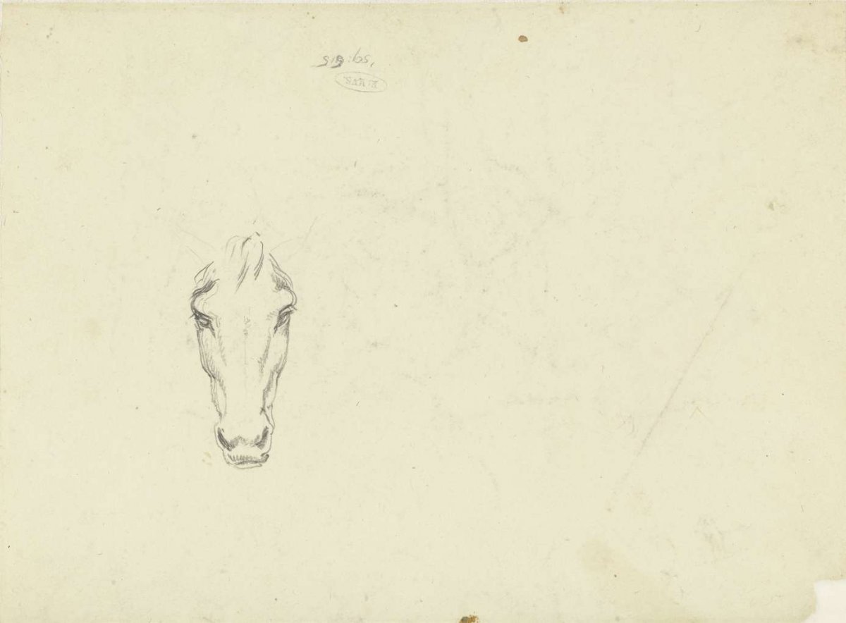 Horse's head, seen from the front, Hendrik Voogd, 1788 - 1839