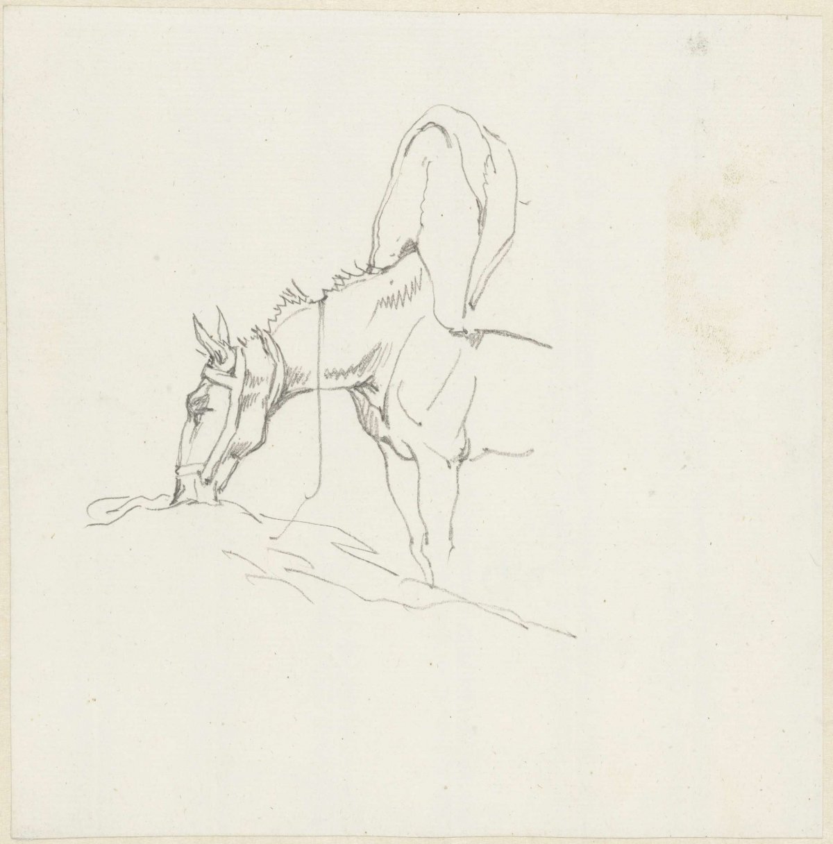 An eating pack horse, Hendrik Voogd, 1788 - 1839