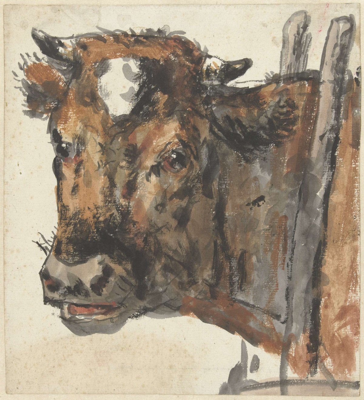 Head of a cow, Jan Kobell (II), 1788 - 1814
