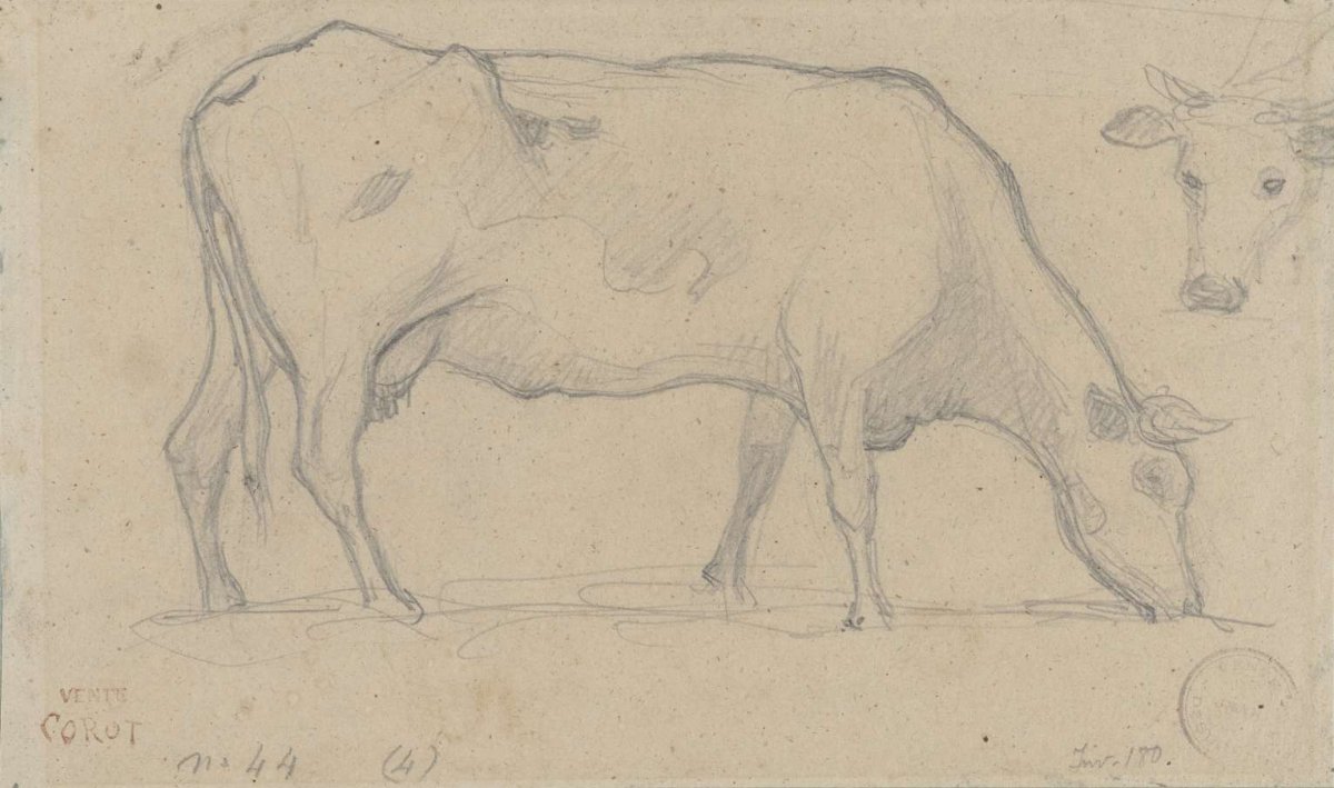 Grazing cow, upper right another cow's head, Camille Corot, 1806 - 1875