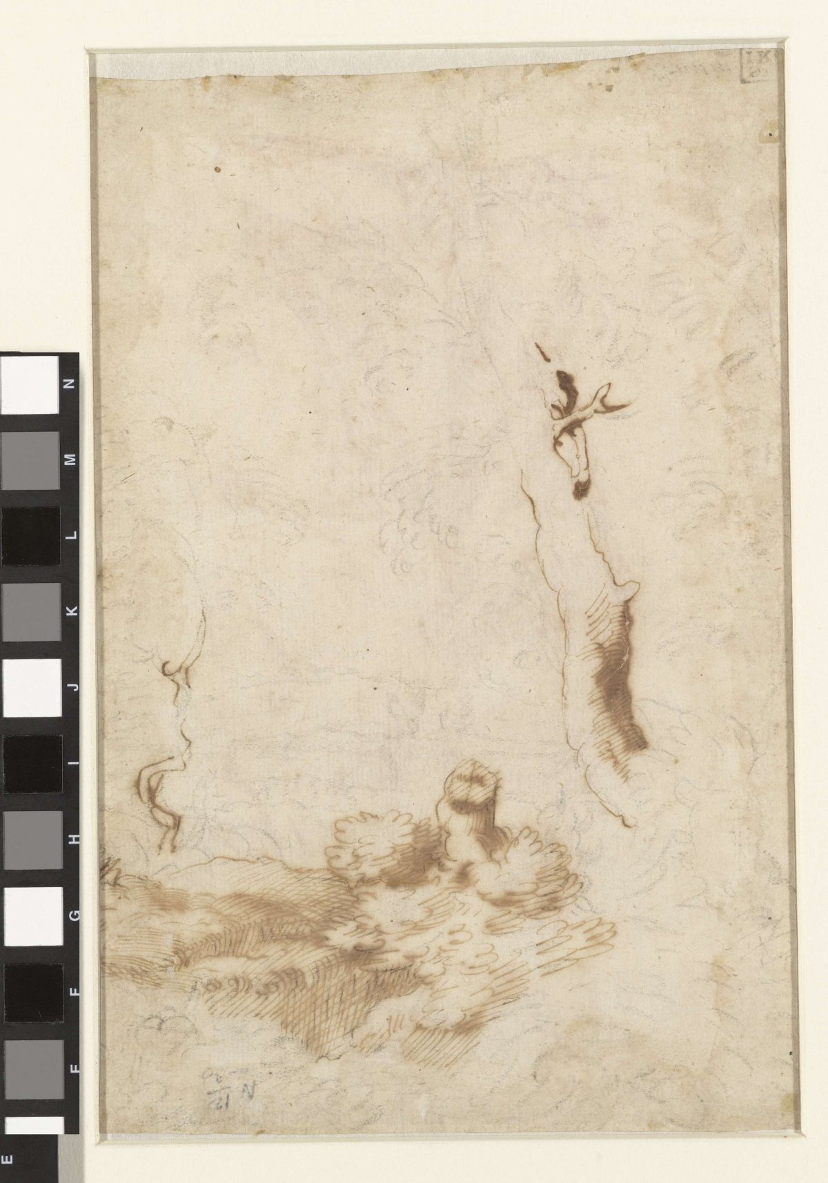 Tree study, anonymous, 1630 - 1670