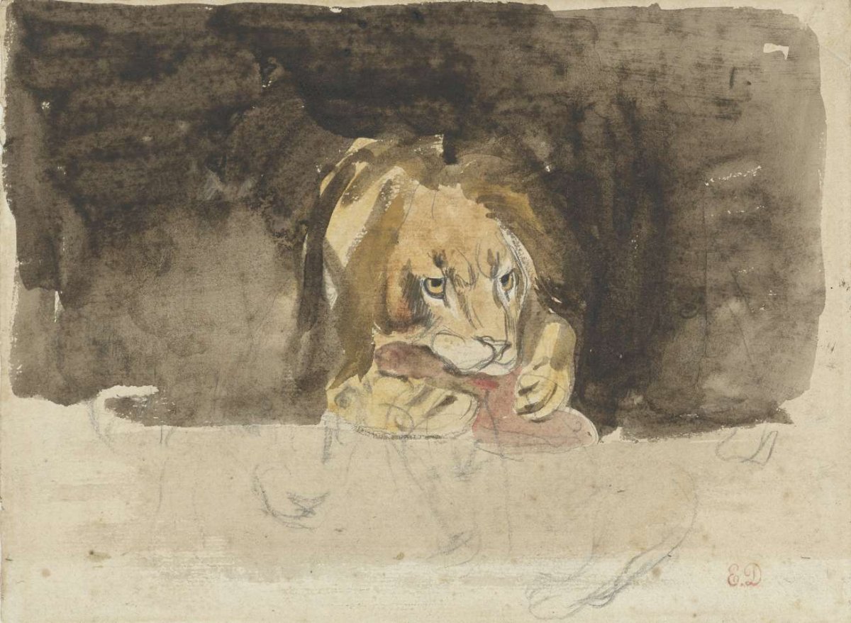 Carnivorous lion, seen from the front, projecting against a dark fond, Eugène Delacroix, 1824 - 1829