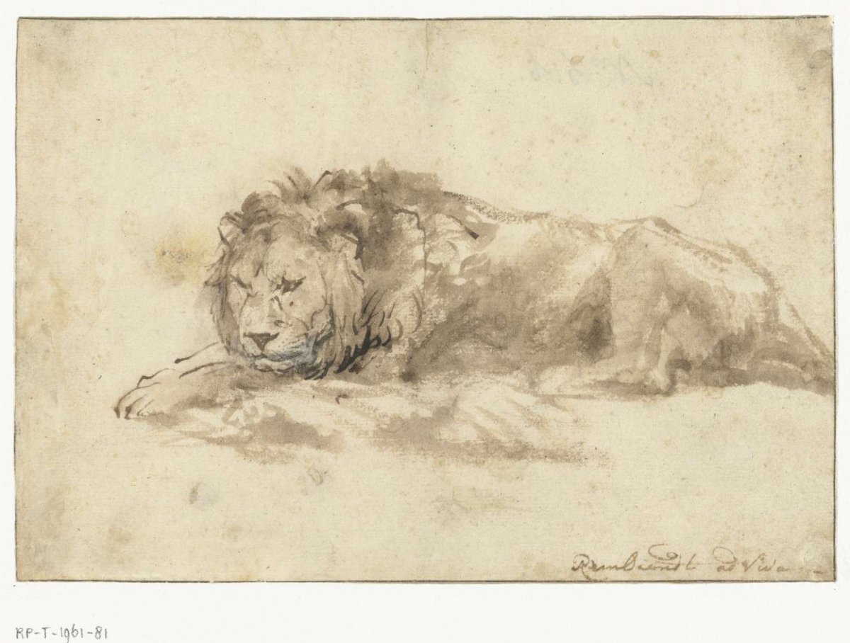 Reclining Lion, Rembrandt van Rijn, c. 1650