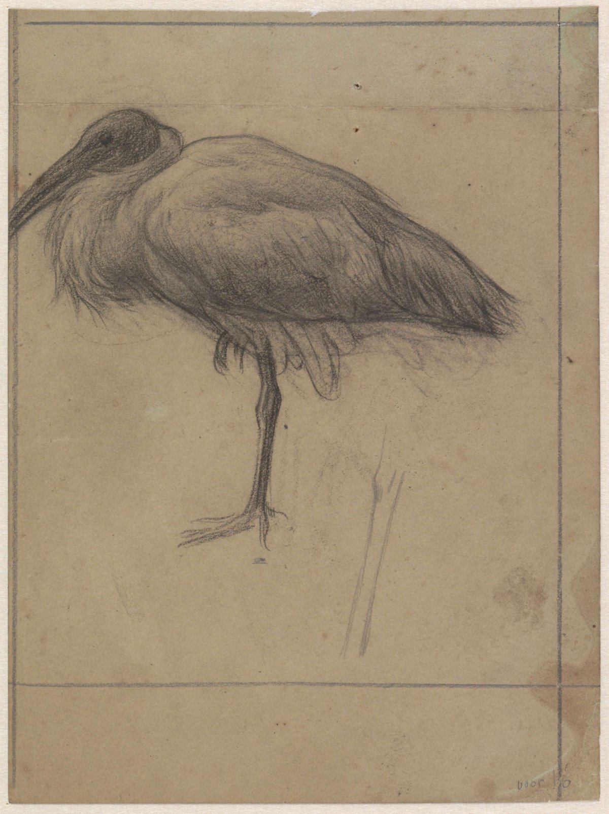 Opgezette ibis, Jan Veth, 1874 - 1925