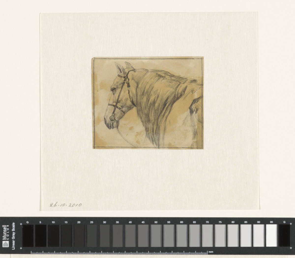 Paard, Jan Veth, 1874 - 1925