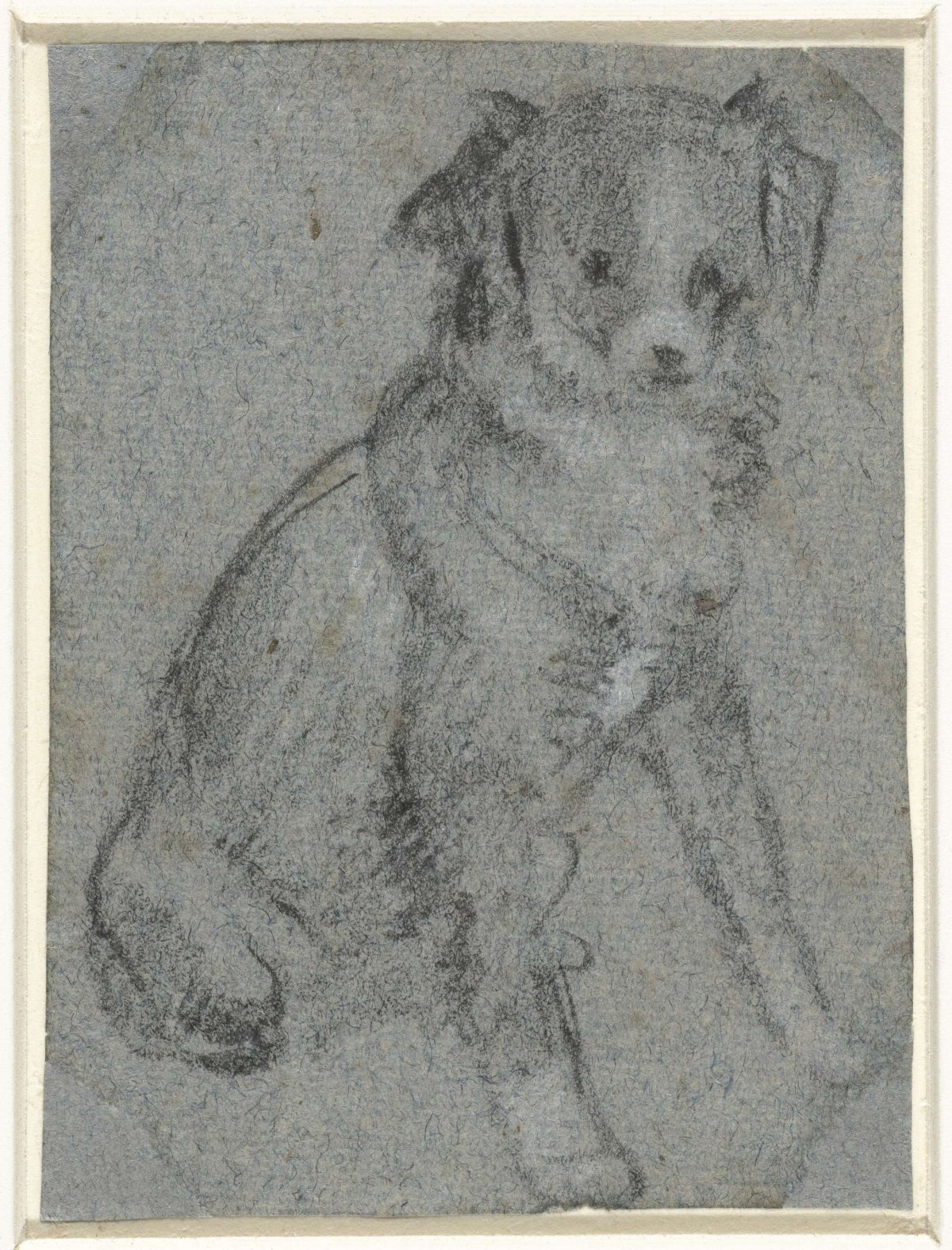 Zittend hondje, anonymous, 1550 - 1599