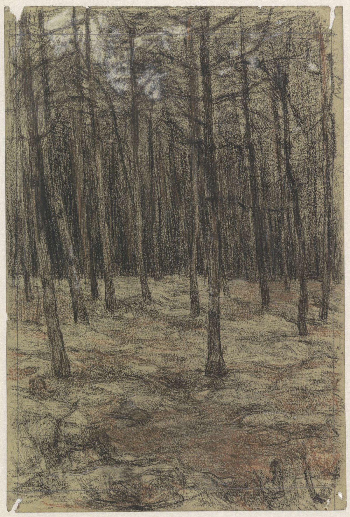 Boslandschap, Jan Veth, 1885