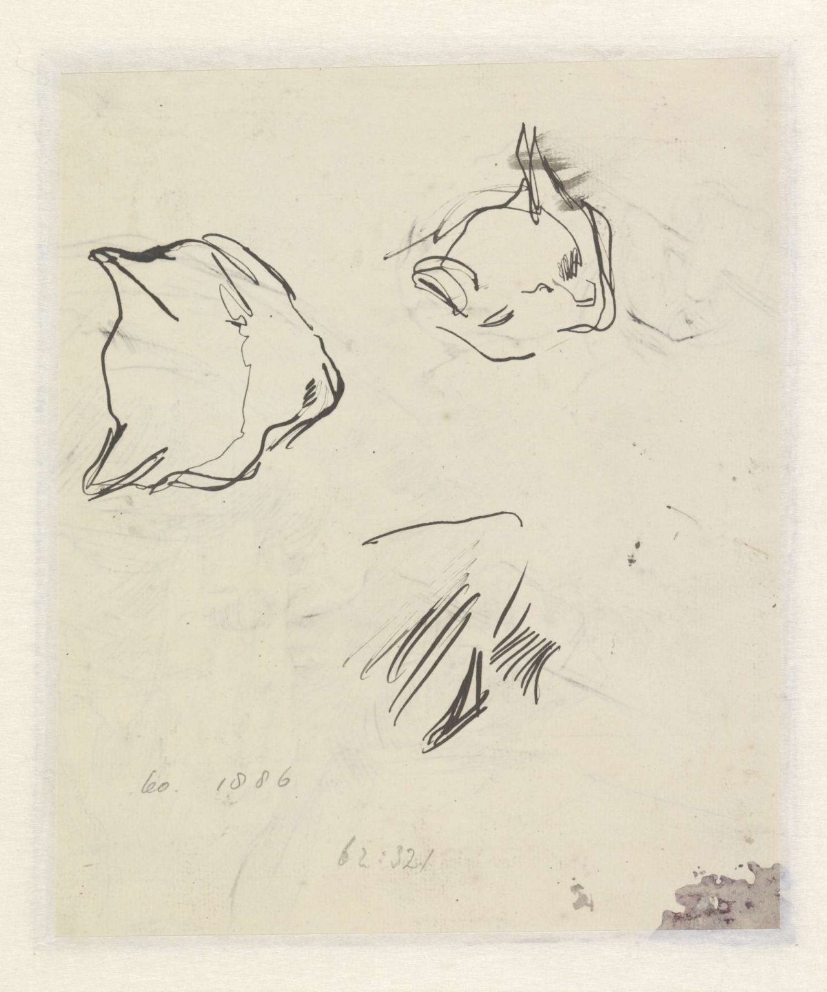 Sketches of a cat, Jan Veth, 1874 - 1925