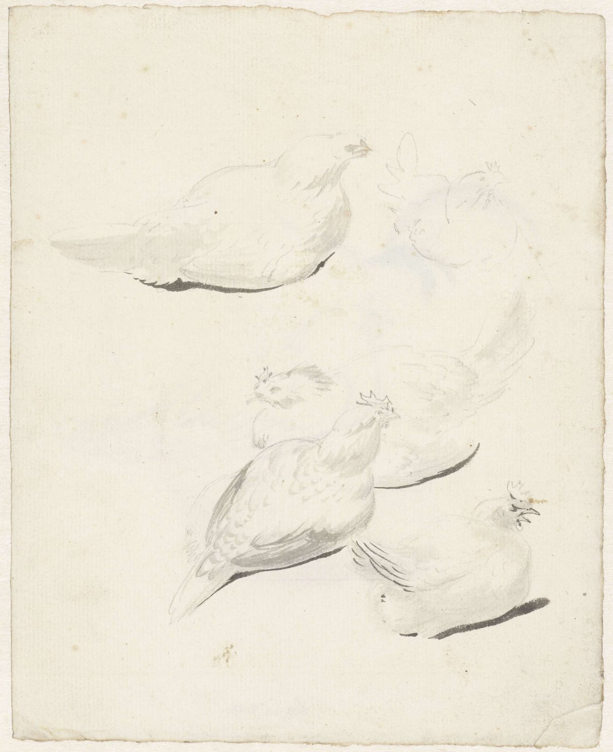 Study sheet with five chickens, Aert Schouman, 1720 - 1792