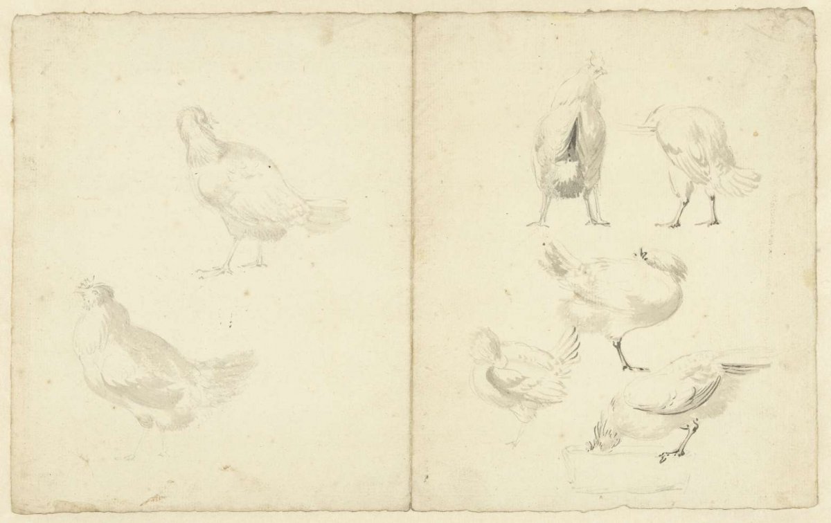 Study sheet with seven chickens, Aert Schouman, 1720 - 1792