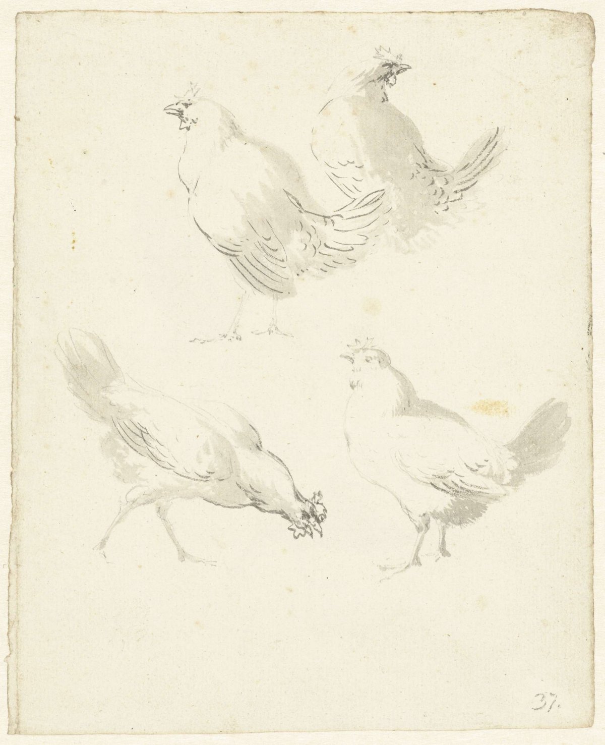 Study sheet with four chickens, Aert Schouman, 1720 - 1792