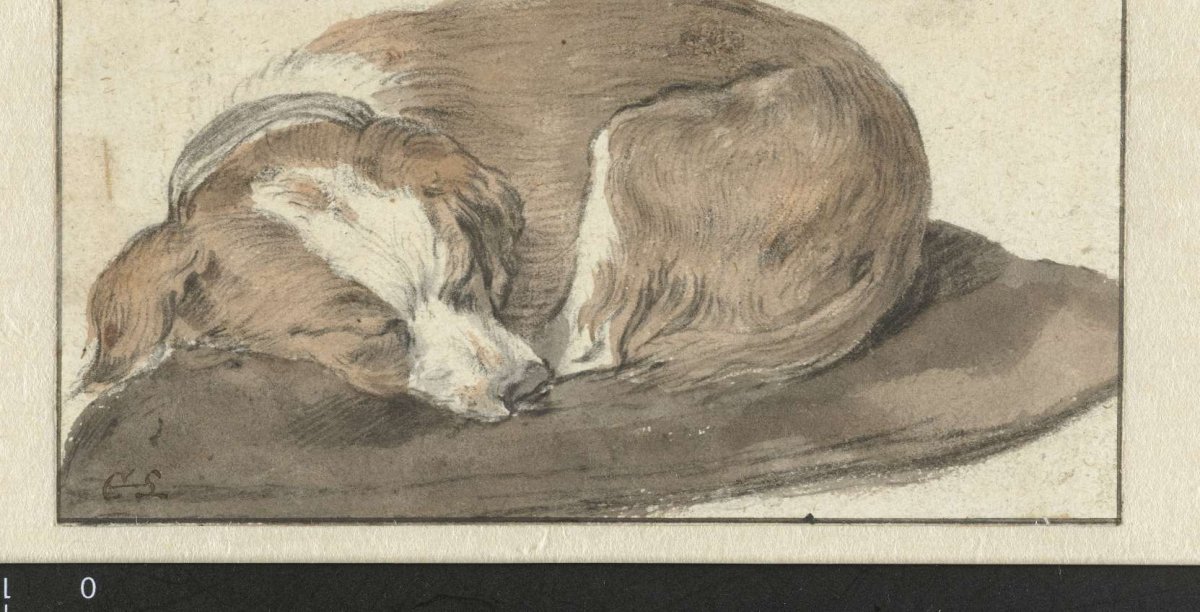 Sleeping Dog, Cornelis Saftleven, 1617 - 1681