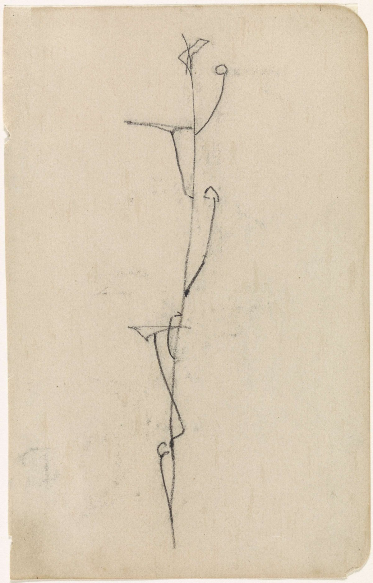 Sketch of a twig with delicate leaves, Gerrit Willem Dijsselhof, 1876 - 1924