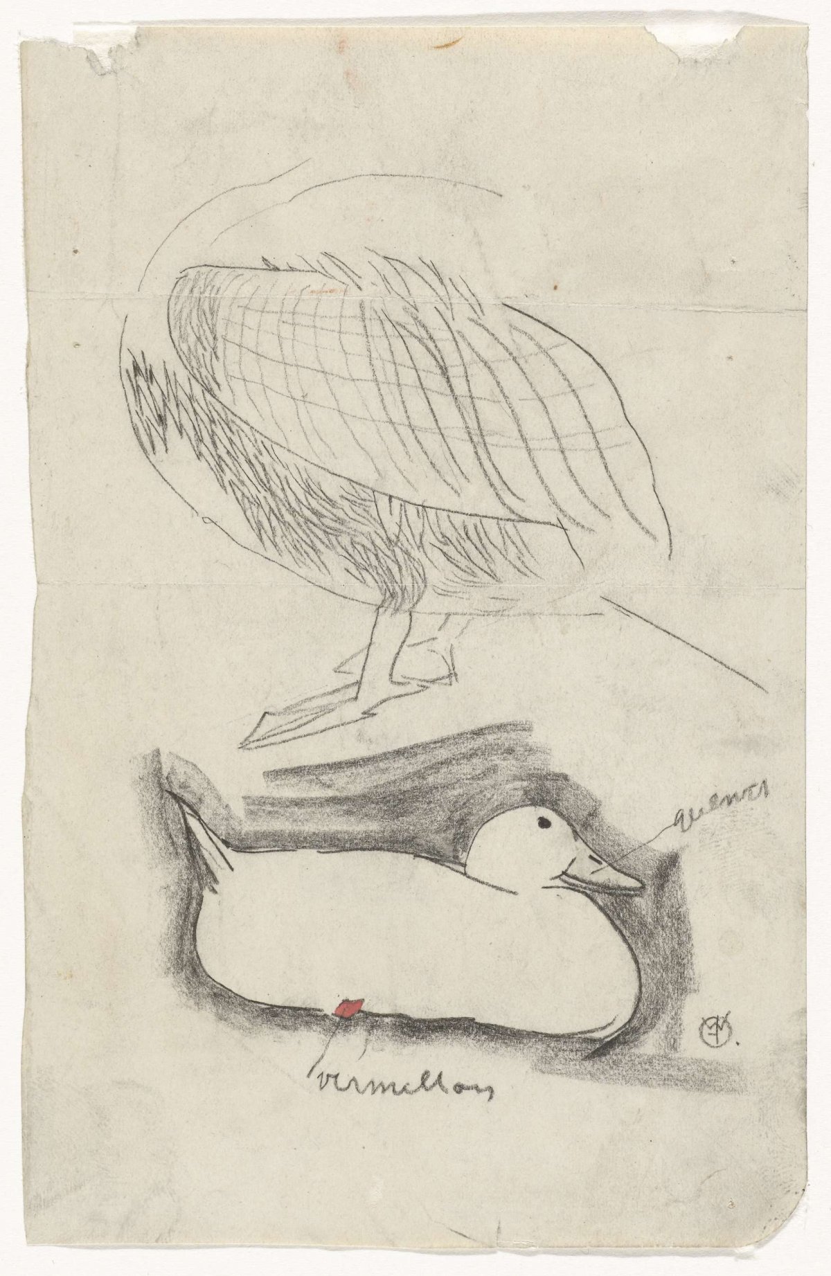 Duck and other water bird, Gerrit Willem Dijsselhof, 1876 - 1924