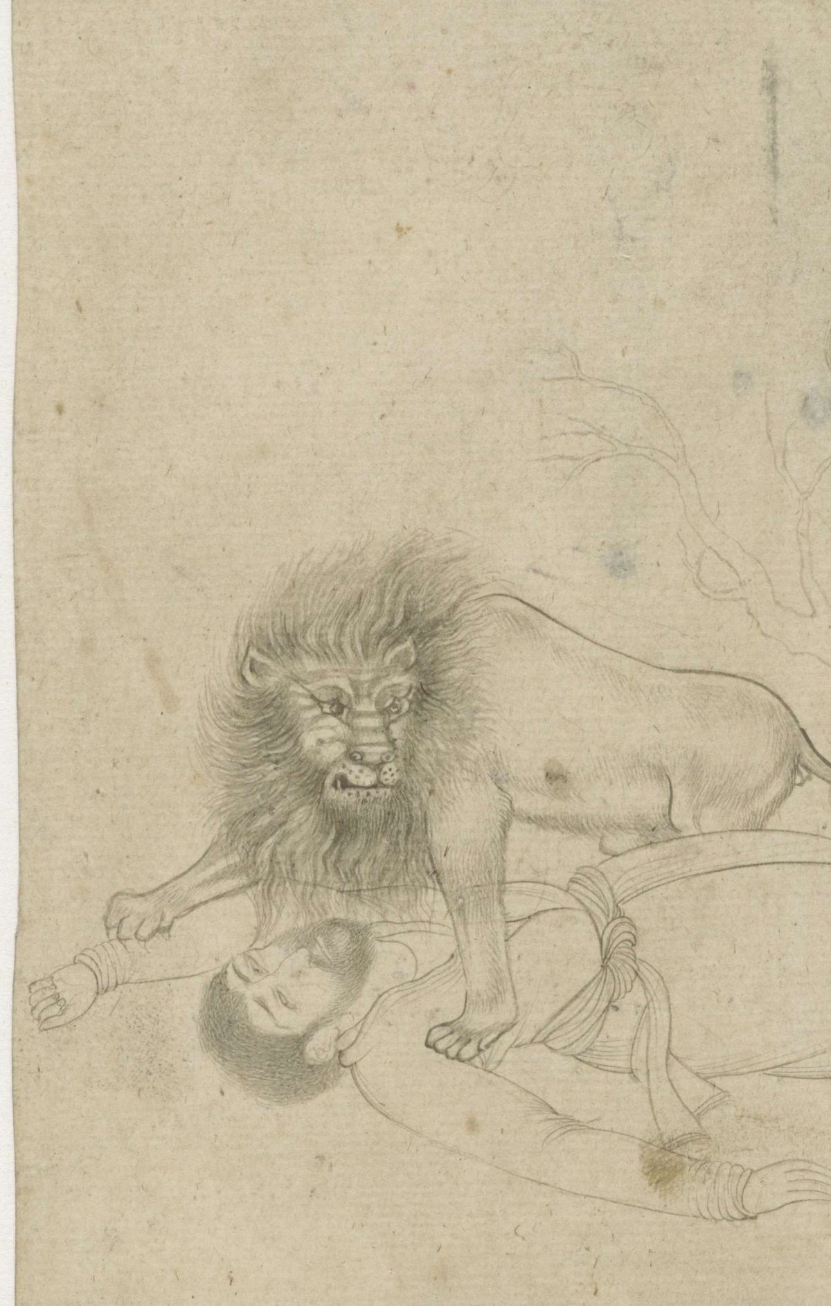 Lion mugging a man, anonymous, c. 1580