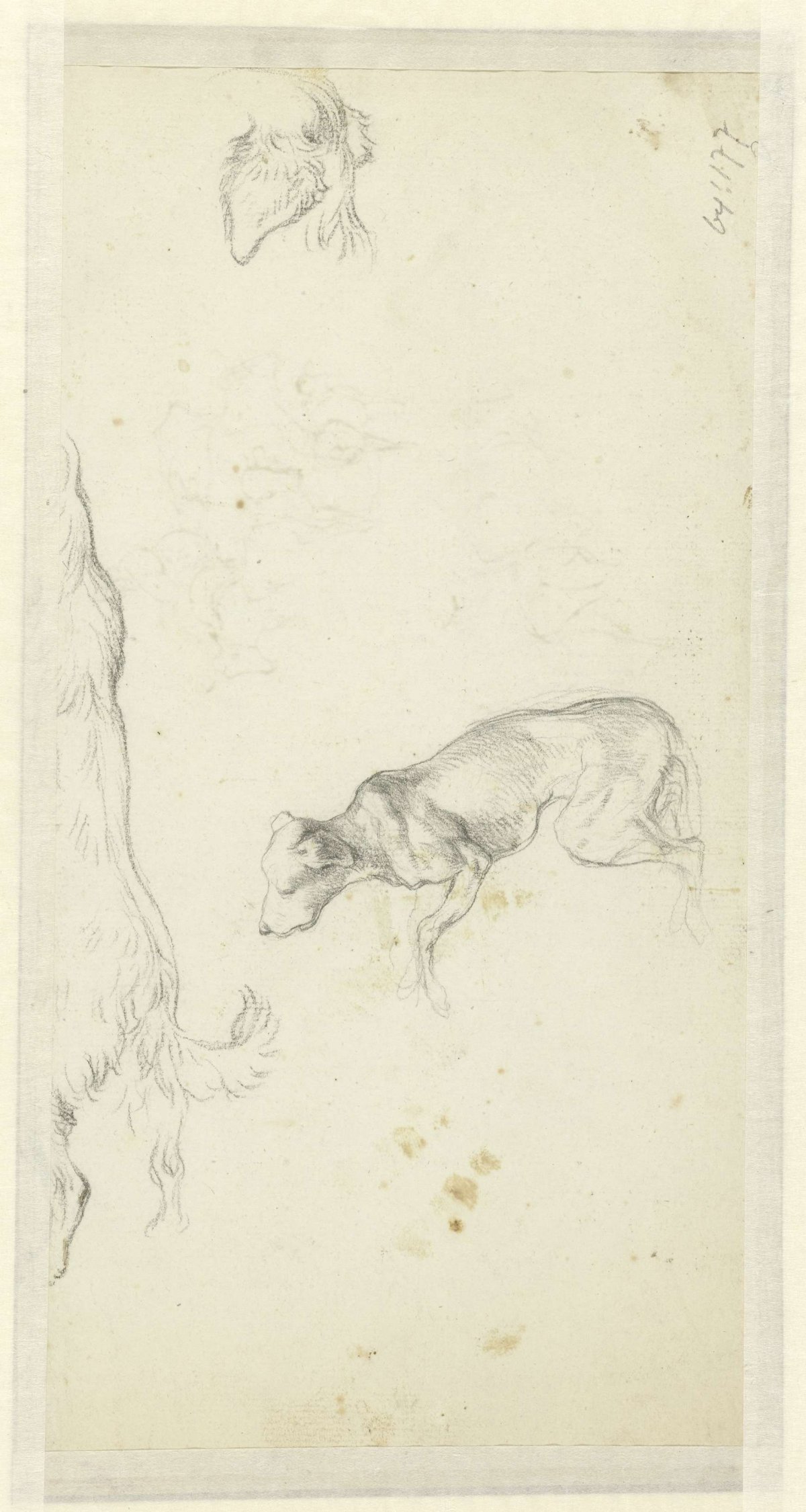 Three dog studies, Jean Louis Demarne, 1754 - 1829