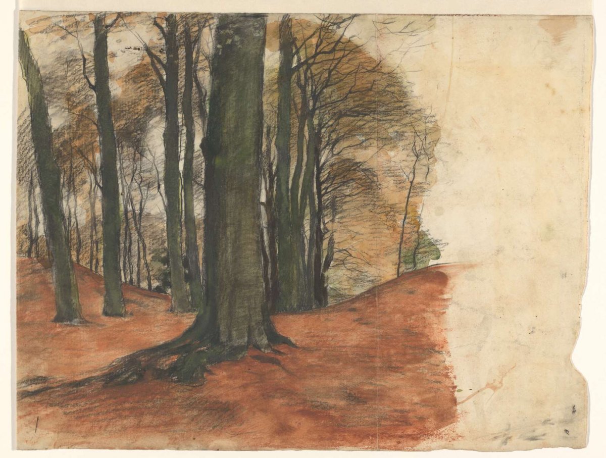 Forest view with heavy foliage, Willem Witsen, 1870 - 1923