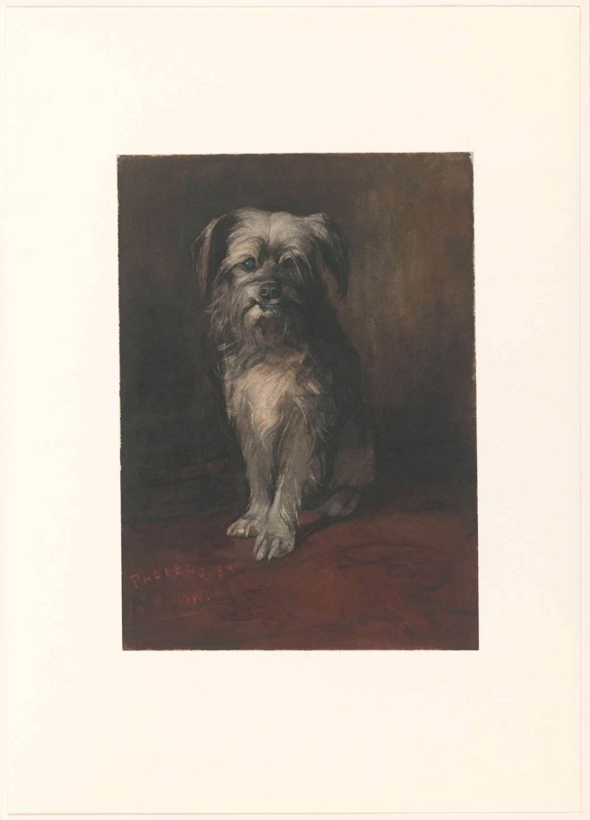 Portrait of the Dog Phoebus, Willem Witsen, 1884