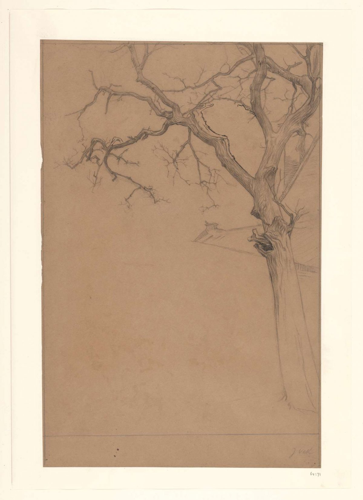 Study of a bare tree, Jan Veth, 1874 - 1925