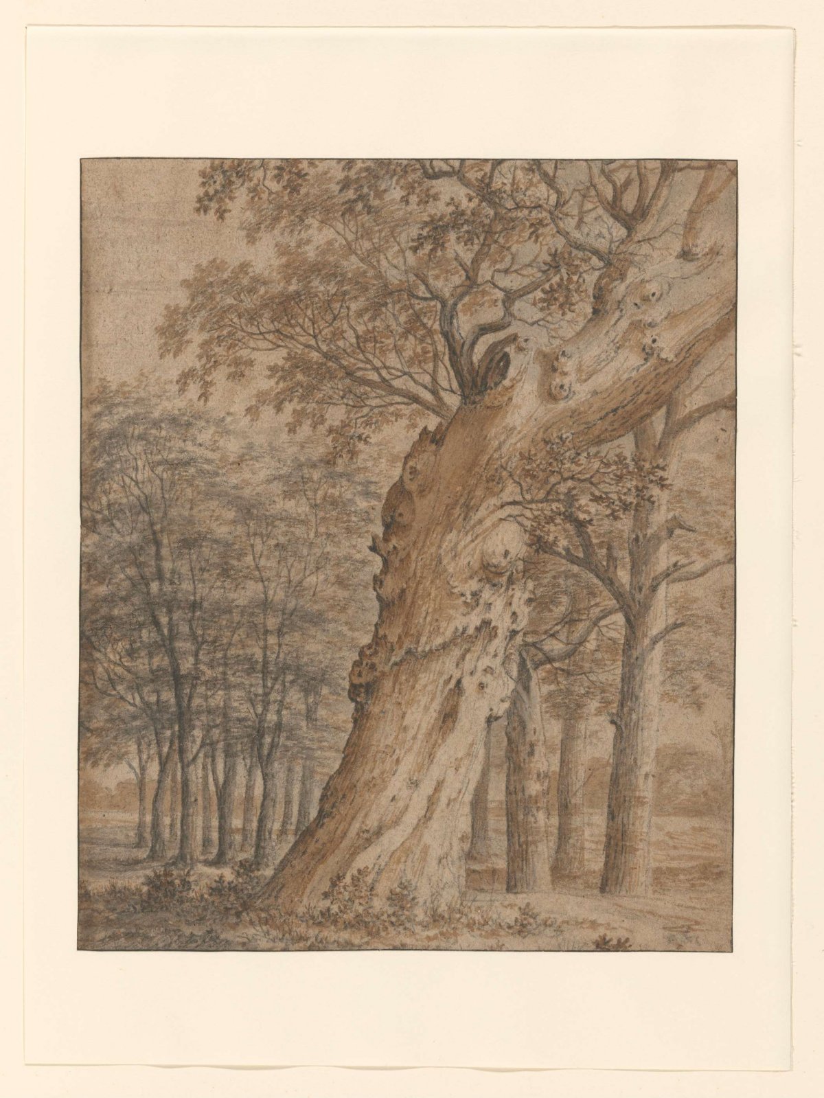 Old oak tree in a forest, Joris van der Haagen, 1625 - 1669