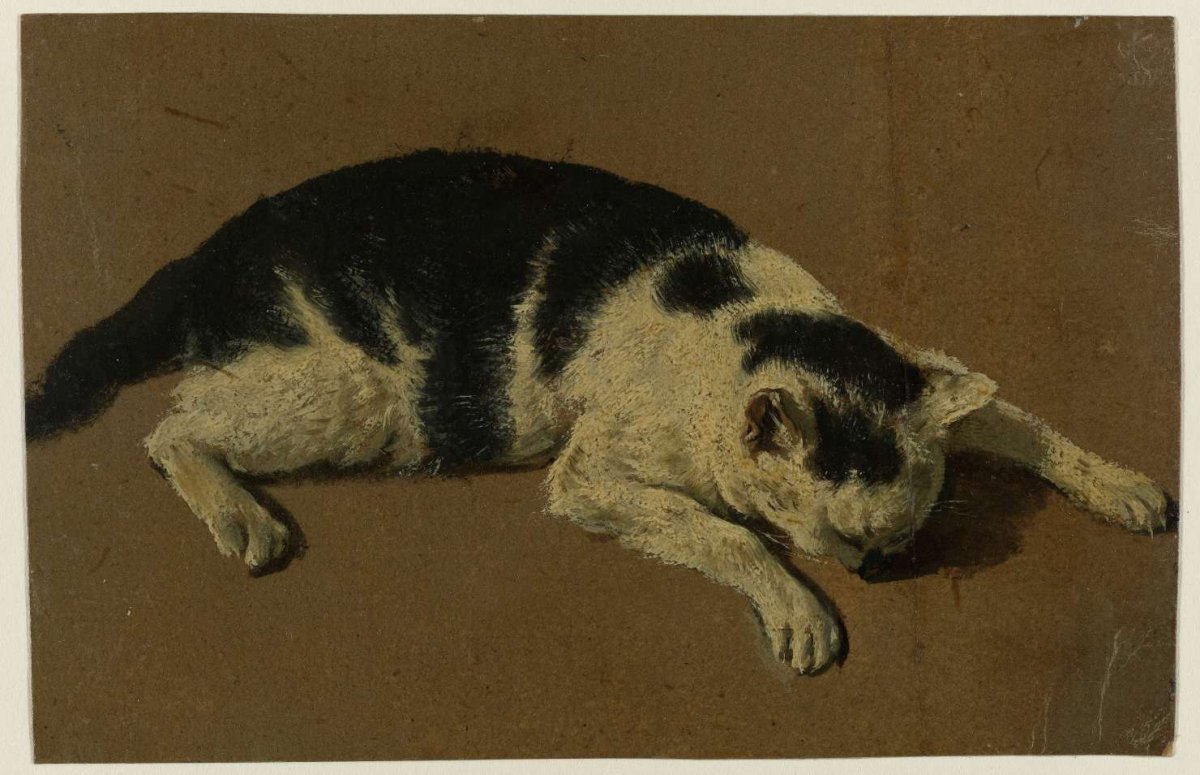 Cat lying down with head between front legs, Adriaen van de Velde, 1646 - 1672