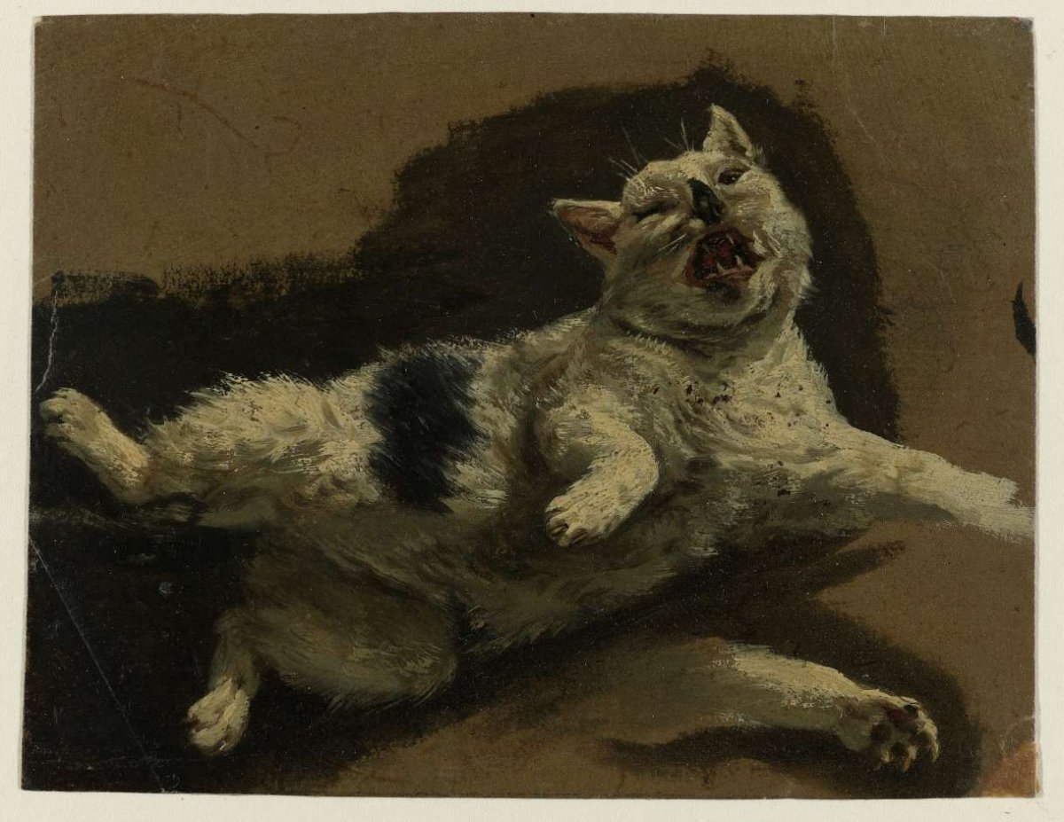 Cat lying on back and loose paw, Adriaen van de Velde, 1646 - 1672